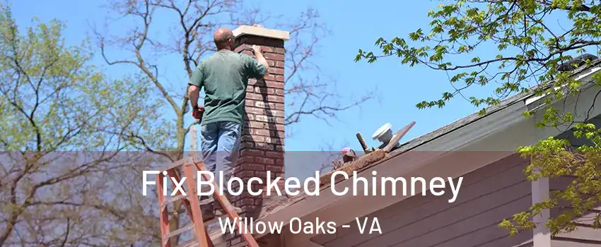 Fix Blocked Chimney Willow Oaks - VA