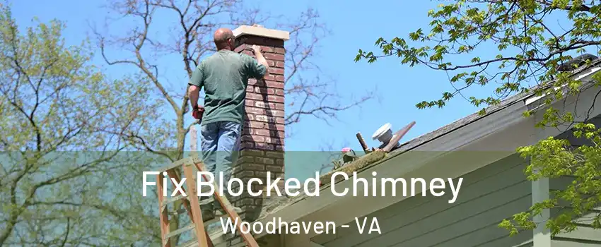 Fix Blocked Chimney Woodhaven - VA