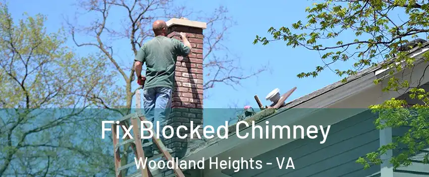 Fix Blocked Chimney Woodland Heights - VA