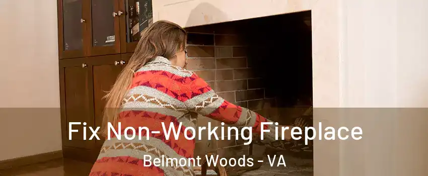 Fix Non-Working Fireplace Belmont Woods - VA