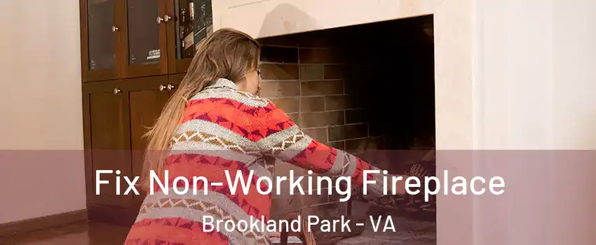 Fix Non-Working Fireplace Brookland Park - VA
