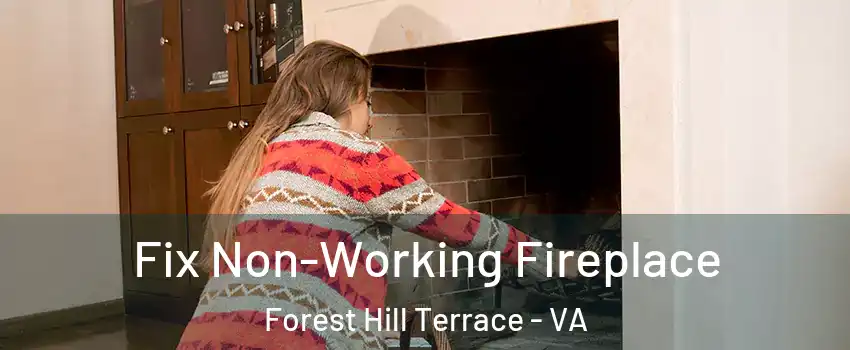 Fix Non-Working Fireplace Forest Hill Terrace - VA