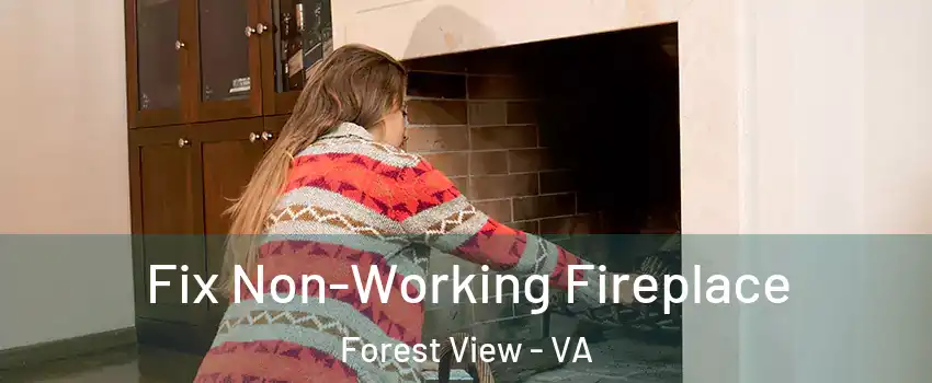 Fix Non-Working Fireplace Forest View - VA