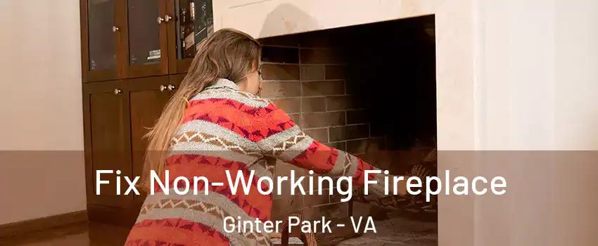 Fix Non-Working Fireplace Ginter Park - VA