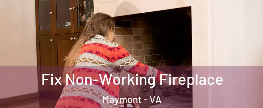 Fix Non-Working Fireplace Maymont - VA