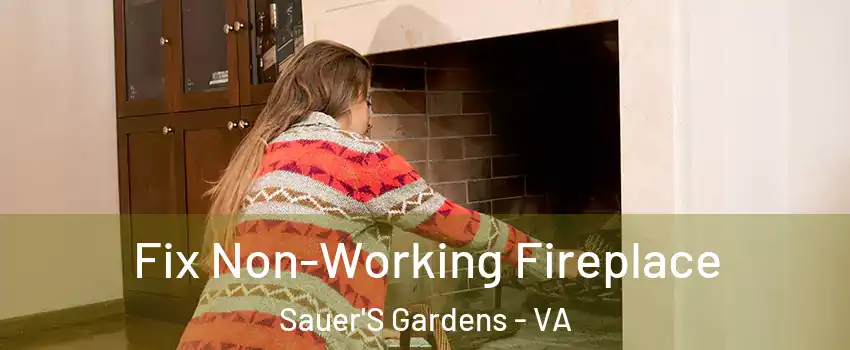 Fix Non-Working Fireplace Sauer'S Gardens - VA