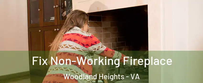 Fix Non-Working Fireplace Woodland Heights - VA