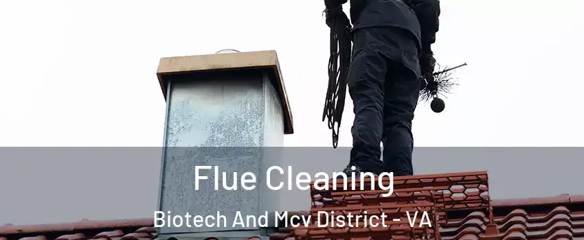 Flue Cleaning Biotech And Mcv District - VA