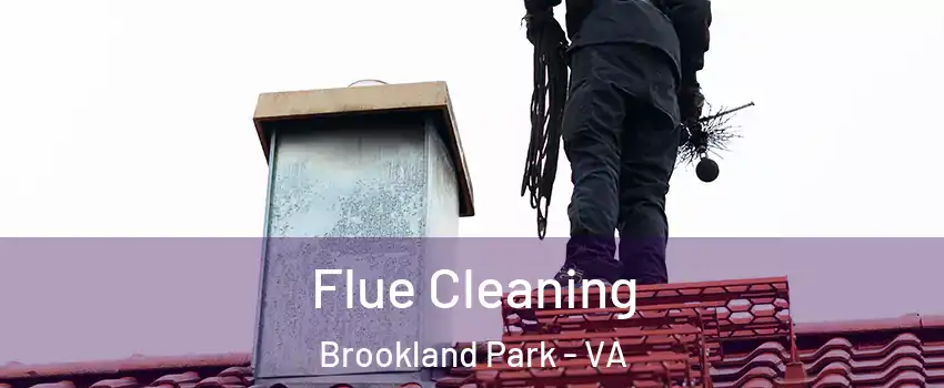Flue Cleaning Brookland Park - VA