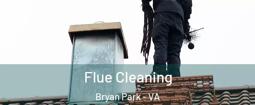 Flue Cleaning Bryan Park - VA