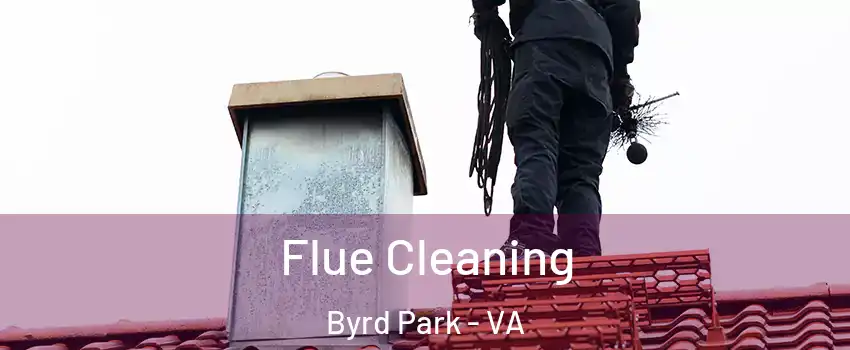Flue Cleaning Byrd Park - VA