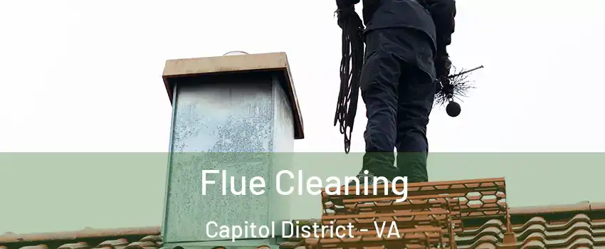 Flue Cleaning Capitol District - VA