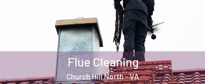 Flue Cleaning Church Hill North - VA