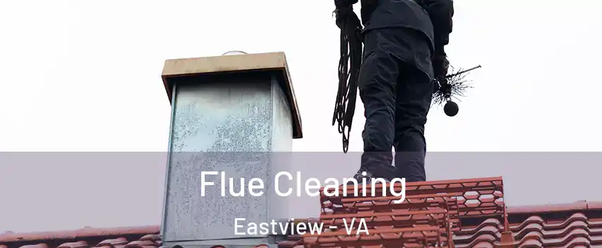 Flue Cleaning Eastview - VA