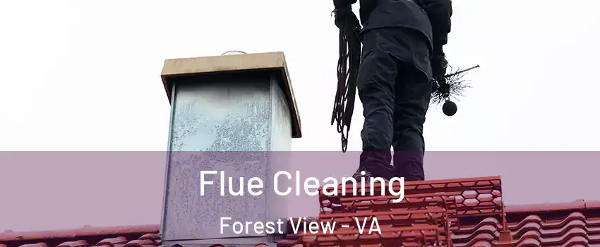Flue Cleaning Forest View - VA