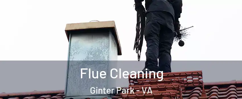 Flue Cleaning Ginter Park - VA