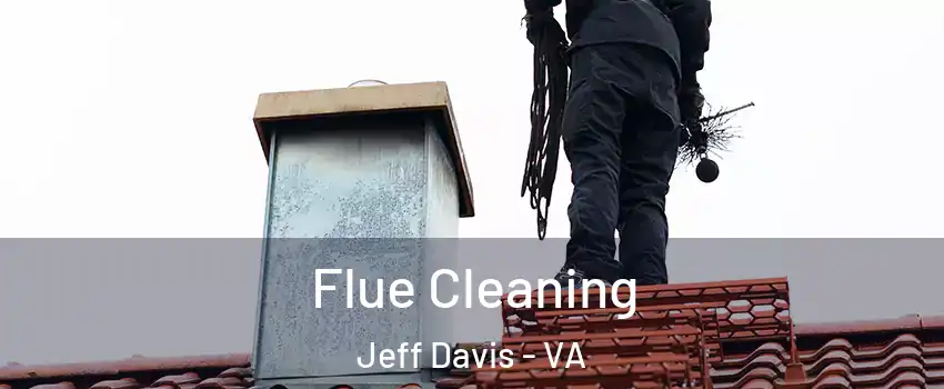 Flue Cleaning Jeff Davis - VA