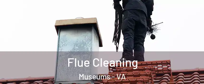 Flue Cleaning Museums - VA