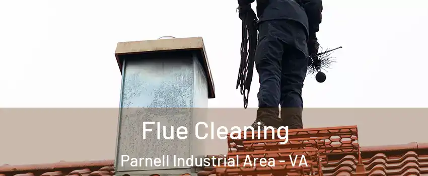 Flue Cleaning Parnell Industrial Area - VA