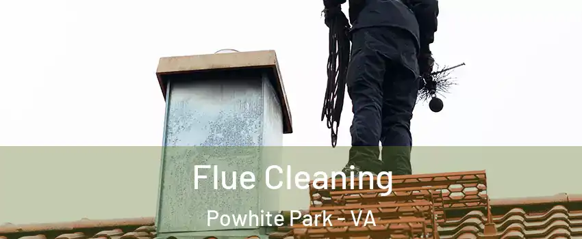 Flue Cleaning Powhite Park - VA