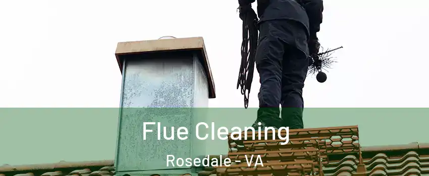 Flue Cleaning Rosedale - VA