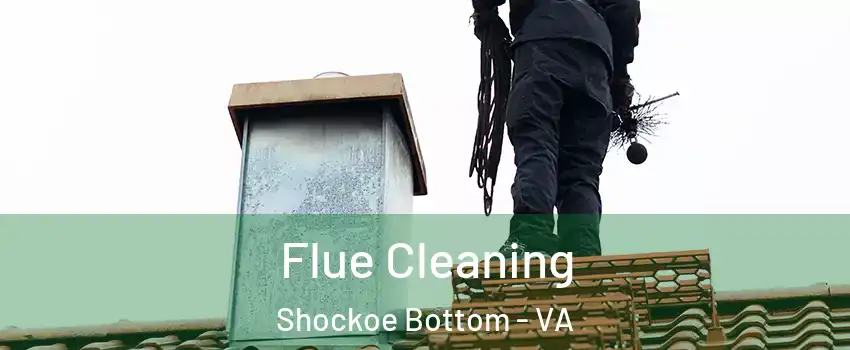 Flue Cleaning Shockoe Bottom - VA