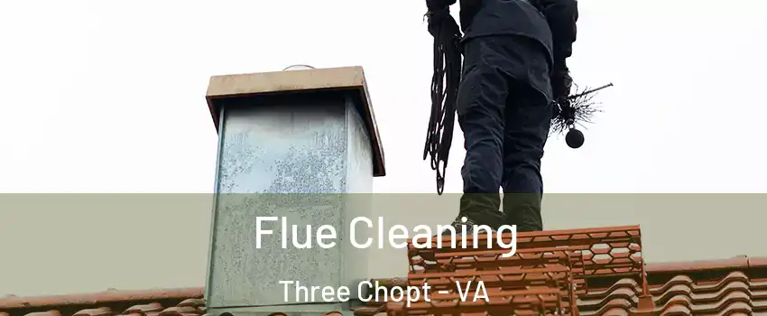 Flue Cleaning Three Chopt - VA