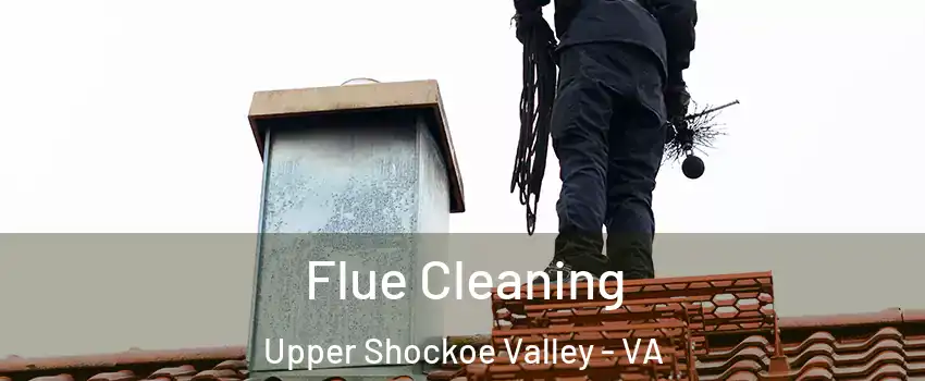 Flue Cleaning Upper Shockoe Valley - VA