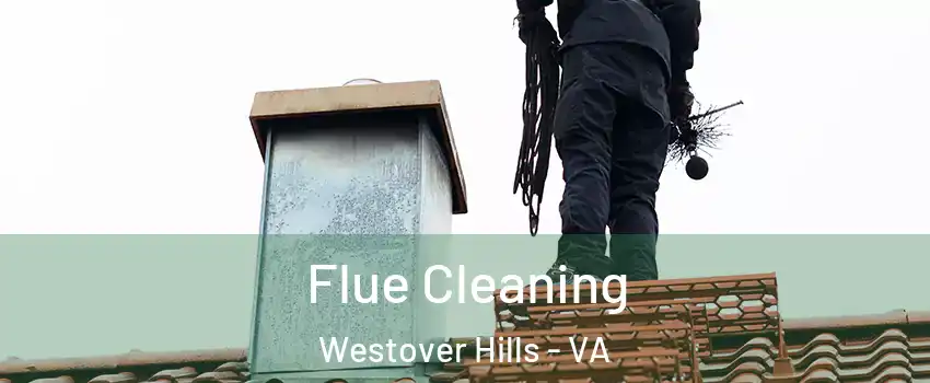 Flue Cleaning Westover Hills - VA