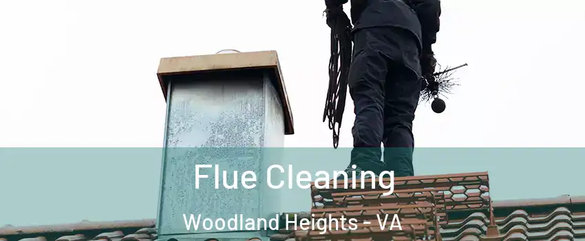 Flue Cleaning Woodland Heights - VA