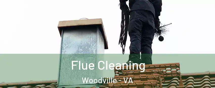 Flue Cleaning Woodville - VA