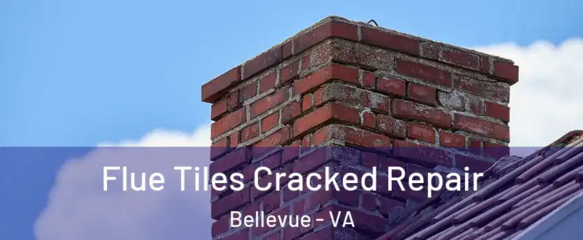 Flue Tiles Cracked Repair Bellevue - VA
