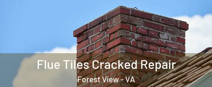 Flue Tiles Cracked Repair Forest View - VA