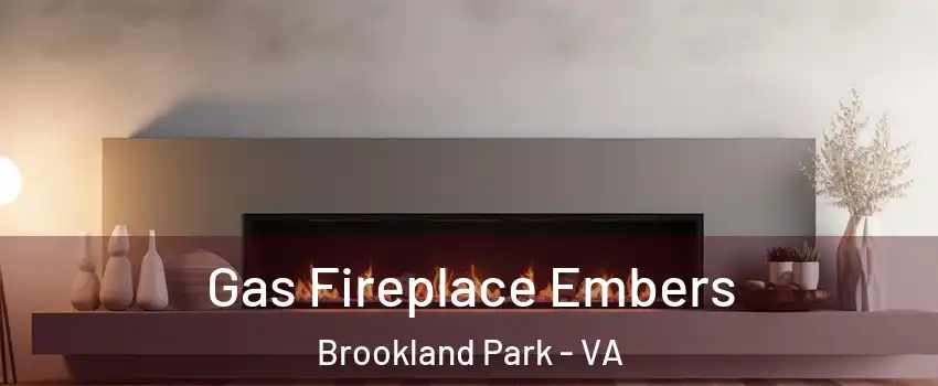 Gas Fireplace Embers Brookland Park - VA