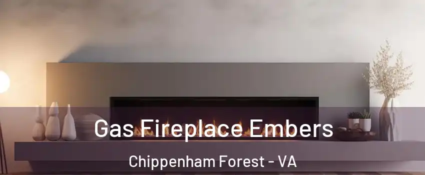 Gas Fireplace Embers Chippenham Forest - VA