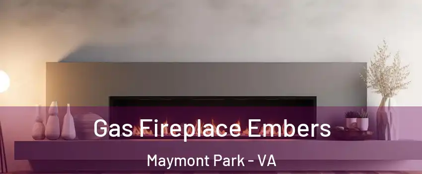 Gas Fireplace Embers Maymont Park - VA