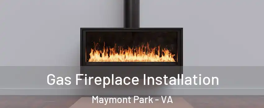 Gas Fireplace Installation Maymont Park - VA