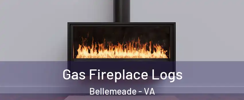 Gas Fireplace Logs Bellemeade - VA