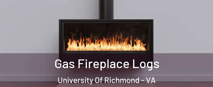 Gas Fireplace Logs University Of Richmond - VA