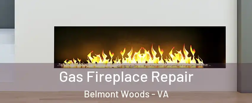 Gas Fireplace Repair Belmont Woods - VA