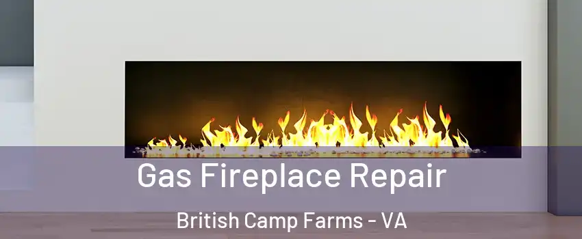 Gas Fireplace Repair British Camp Farms - VA