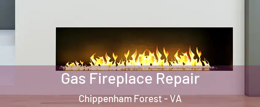 Gas Fireplace Repair Chippenham Forest - VA