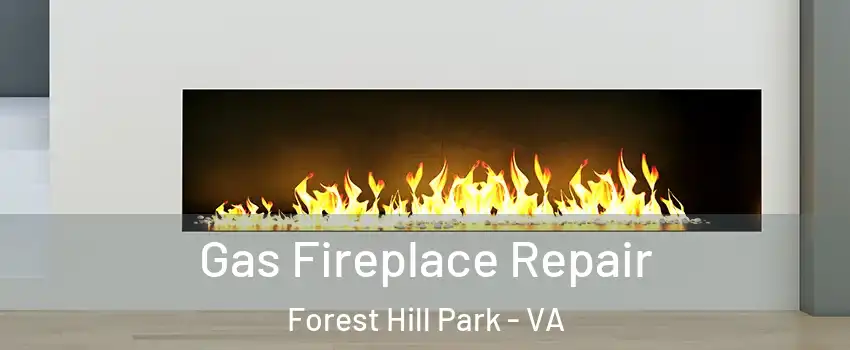Gas Fireplace Repair Forest Hill Park - VA