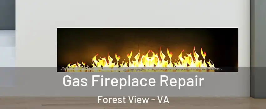 Gas Fireplace Repair Forest View - VA