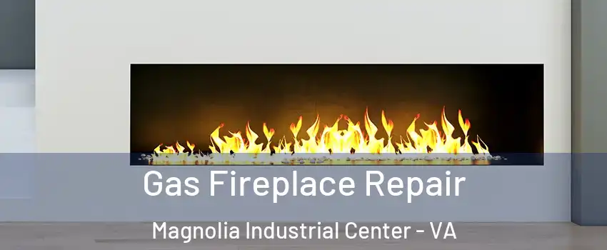 Gas Fireplace Repair Magnolia Industrial Center - VA