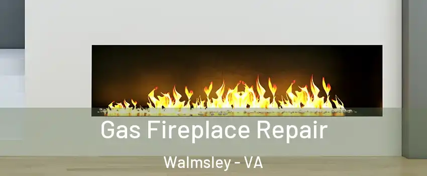 Gas Fireplace Repair Walmsley - VA
