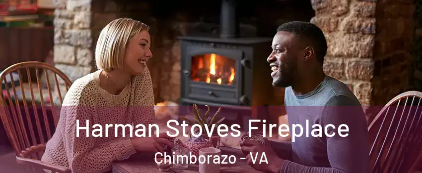 Harman Stoves Fireplace Chimborazo - VA