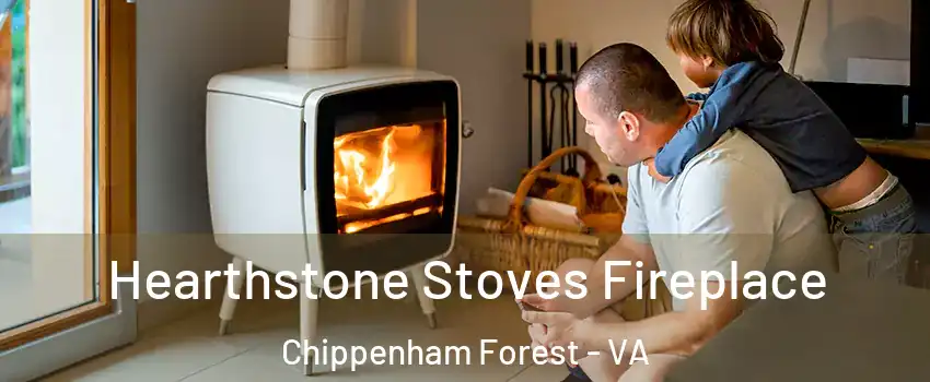 Hearthstone Stoves Fireplace Chippenham Forest - VA