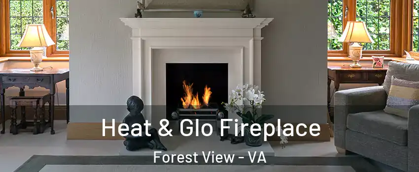 Heat & Glo Fireplace Forest View - VA