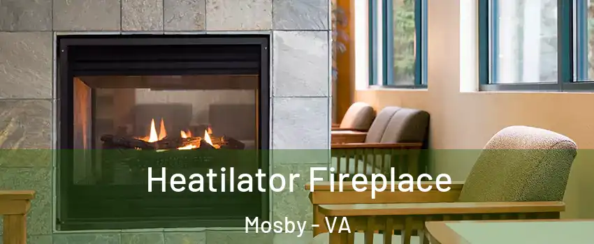 Heatilator Fireplace Mosby - VA